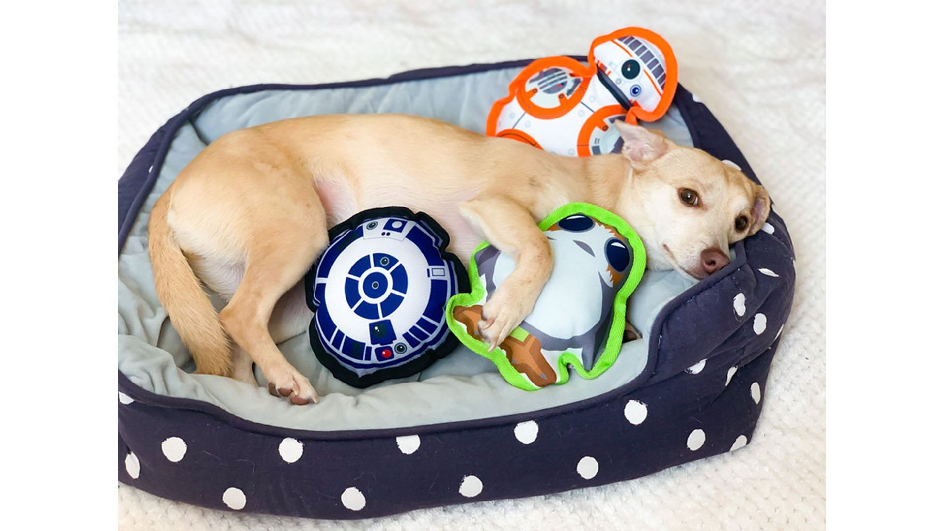 A dog cuddles in a bed with three dog toys, including a stuffed BB-8 and Porg from Star Wars: The Force Awakens.