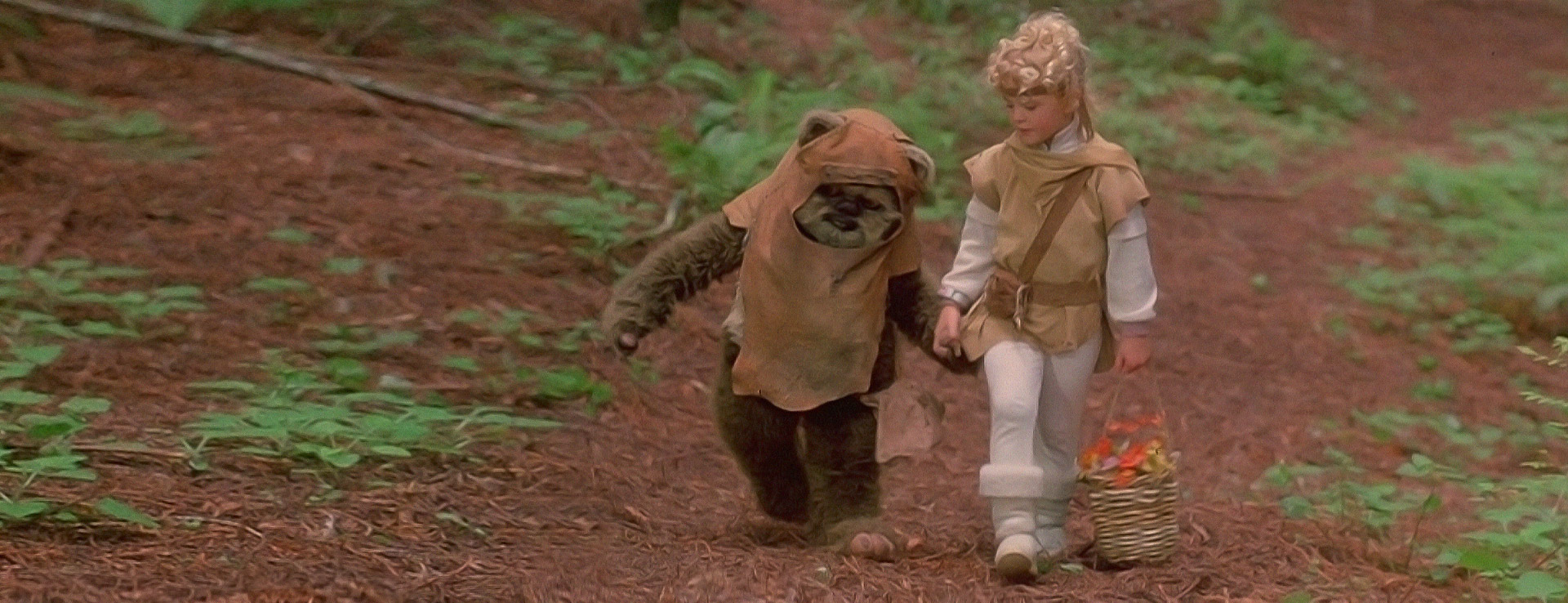 A scene from Ewoks: The Battle for Endor