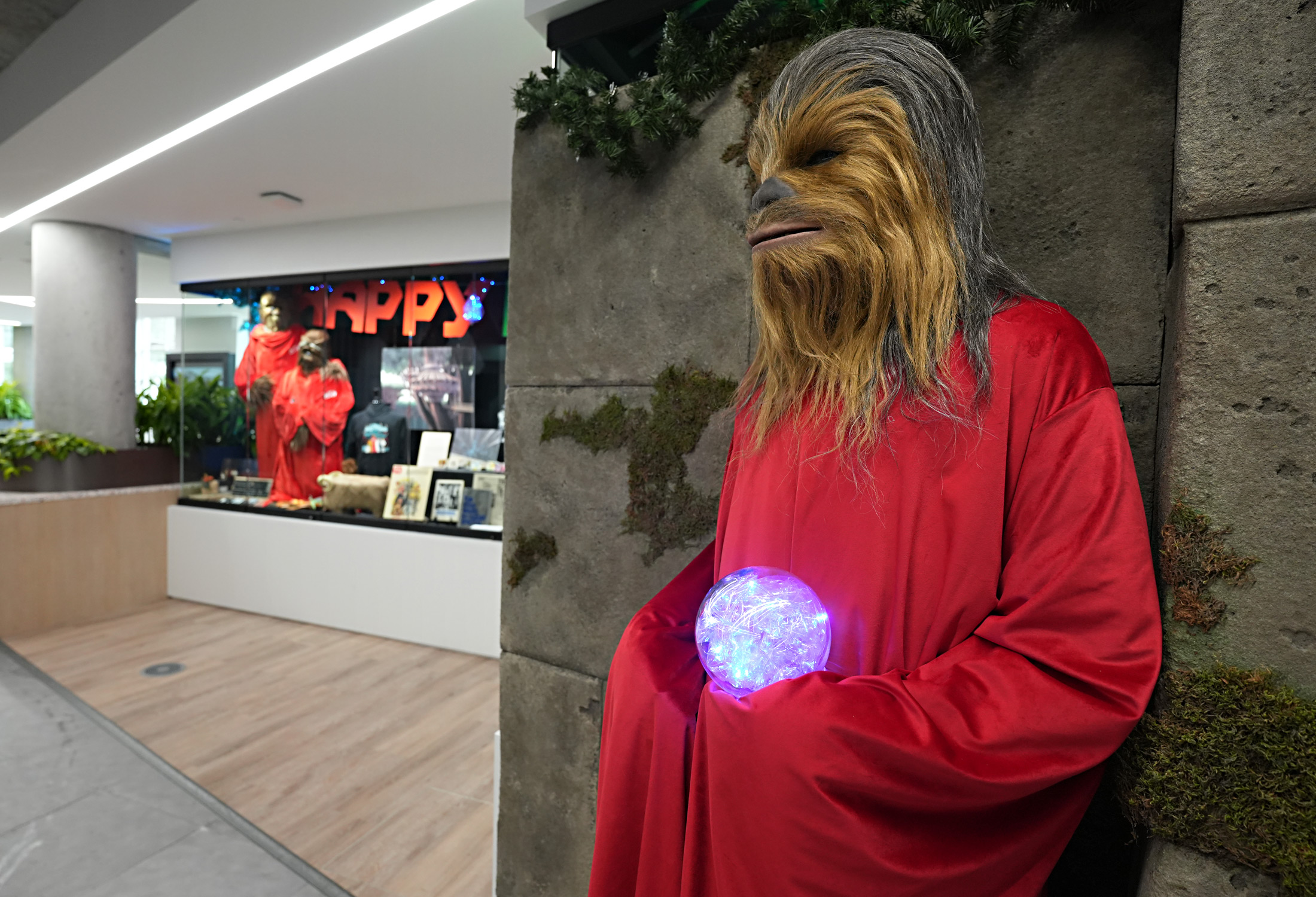 Lucasfilm’s resident in-studio Chewbacca has agreed to patiently stand in front of the display case during the month of November for photo-ops with friends and guests, donning a festive Life Day robe crafted by talented members of the local Rebel Legion Costuming Club.