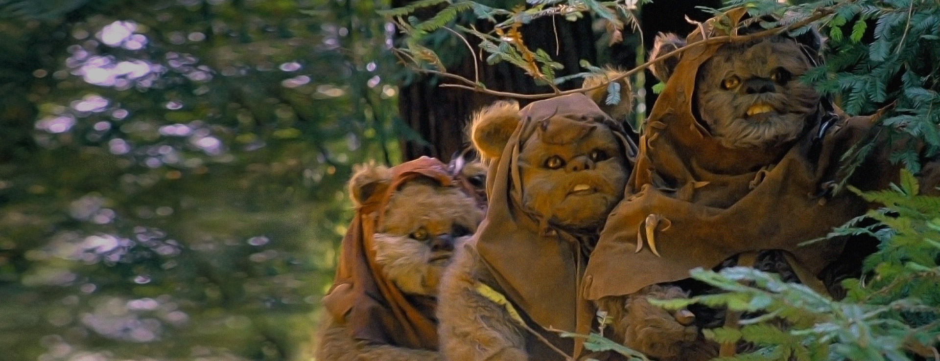 A scene from Caravan of Courage: An Ewok Adventure