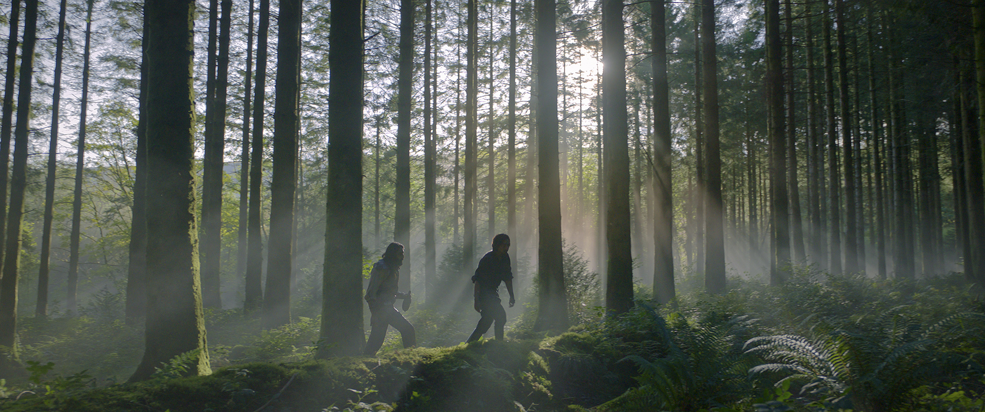 Graydon and Boorman walking through the forest